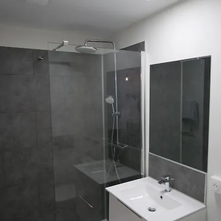Au 3 Rue Manhes Apartment Albi Exterior photo