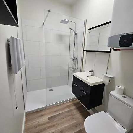 Au 3 Rue Manhes Apartment Albi Exterior photo