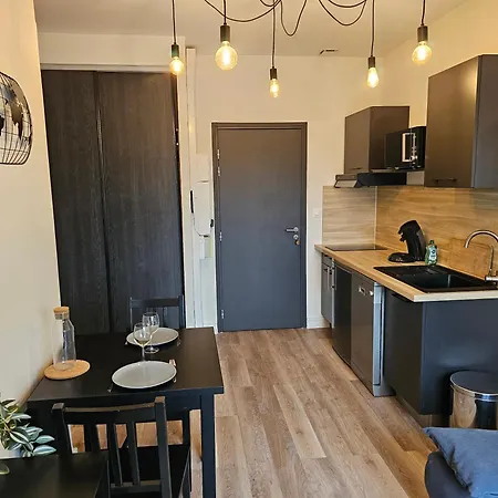 Au 3 Rue Manhes Apartment Albi Exterior photo