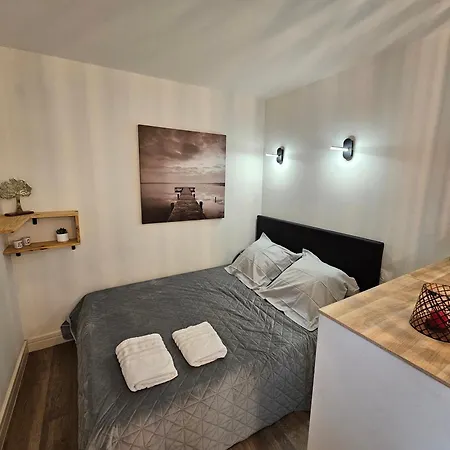 Au 3 Rue Manhes Apartment Albi Exterior photo